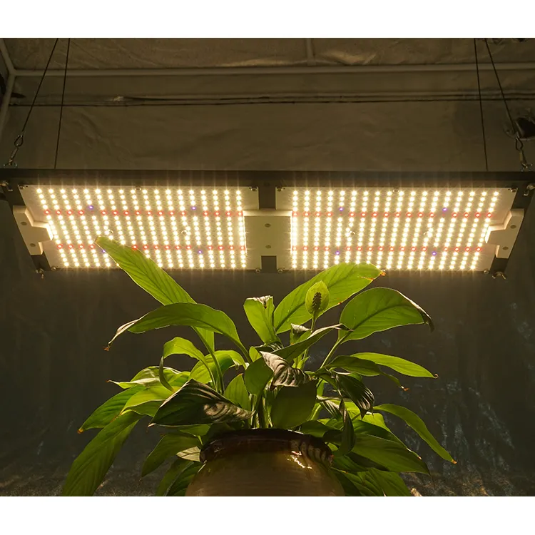 Бесплатная доставка в США, Россию, ЕС предварительно собранные светодиодные лампы Kingbrite для выращивания растений УФ + ИК + Epistar 660 нм красный + LM301H 240 Вт 288 плат