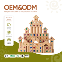 Bloques de Construcción de Madera para Niños, Juguetes Educativos Tempranos para Jardín de Infancia, Bloques de Acrílico Transparentes con Forma de Gemas, Rompecabezas Creativo para Bebés