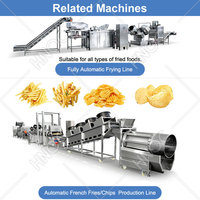 Chaîne de production automatique HNOC pour la friture de chips de banane plantain, à vendre