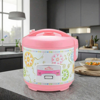 Cuisinière à riz électrique nationale 500W, boîtier en plastique, cuve antiadhésive, écologique