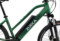Vélo de montagne électrique sans balais personnalisable en alliage d'aluminium de 26 pouces, moyeu arrière 250W, batterie au lithium 36V 7.8Ah, 7 vitesses, tout-terrain
