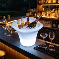 Seau à glace portable en plastique avec éclairage LED, bac à boissons lumineux, style ferme, pour la rentrée scolaire, capacité 1-2L