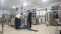Ligne de production de fromage mozzarella 100-7000L/H