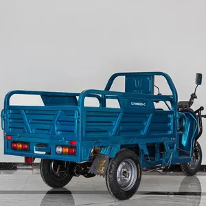 Best Price Wholesale EEC COC Electric Cargo Tricycle Delivery Sample Order 1pc