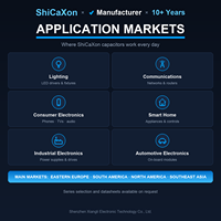 Kapasitor Elektrolit Aluminium Radial 10V 35V 80V 1uF 2.2uF 180uF 10000uF Penyaringan Dekopling Konsisten untuk Sistem Speaker