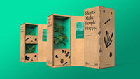 Boîte d'expédition pour plantes, emballage de plantes en carton personnalisé, vente en gros, chine