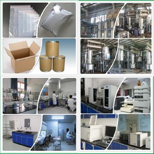 30:1 rasio biji <span class=keywords><strong>Perilla</strong></span> ekstrak bubuk kualitas makanan ekstrak terkonsentrasi Shiso dalam kapsul buah digunakan dikemas dalam Drum - Product Image 6