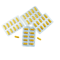Complément alimentaire pour soutenir l'immunité masculine adulte, extrait de Maca, d'Epimedium et de Cistanche, capsules antioxydantes