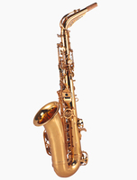 Music Instrument Alto Sax With Case From Manufacture Wholesale and Great Sell