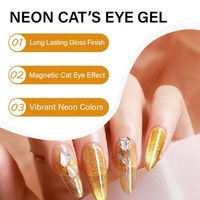 XGM NAIlS Gel UV Effet Œil de Chat Néon Glacé – Nouveau Gel Néon Effet Œil de Chat pour Service de Personnalisation de Logo Disponible