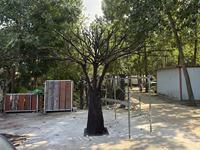 Arbre d'olivier artificiel personnalisé avec tronc en fibre de verre, grand arbre artificiel en fibre de verre pour la décoration