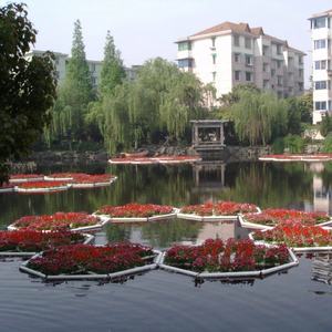 Combinado paisaje Artificial isla flotante ecológica para restauración de Río - Product Image 5