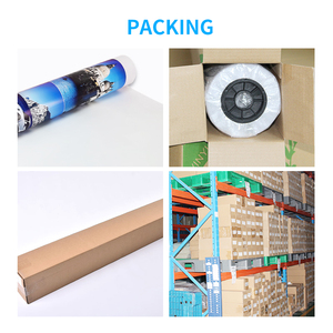 PVC Flex Banner Exterior Interior Publicidad Retroiluminada/frontlit Lona Tela banner rollo Guangzhou materiales imprimibles rollo al por mayor - Product Image 5