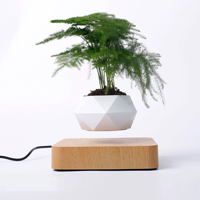 Beau Pot de Plante en Lévitation Magnétique pour Plantes Pot de Fleur Flottant Rotatif Lévitation Bonsaï En Pot Femmes Cadeaux Décor À La Maison
