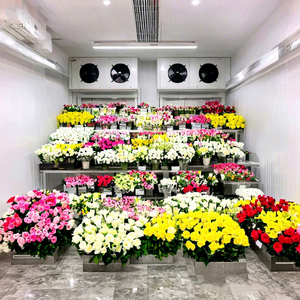 ห้องเย็นสำหรับเก็บรักษาดอกไม้ เนื้อสัตว์ ผัก และผลไม้ พร้อมระบบระบายอากาศ - Product Image 2