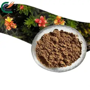 Rhodiola rosea extract High quality Organic rhodiola rosea extract powder 3% salidroside