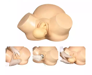 Medizinisches Geburtshilfe modell für den Unterricht, Simulator für abnormale Geburt, weibliches Becken modell für das Training - Product Image 2