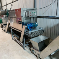 Éplucheuse d'ail automatique avec bande transporteuse réglable pour cuisine centrale / ligne de traitement d'ail commercial pour la restauration