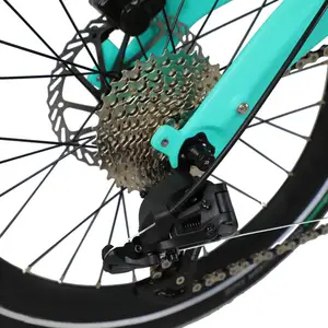 Carbon Fiber Road Sepeda 20 Inch Folding Bike Sepeda Lipat