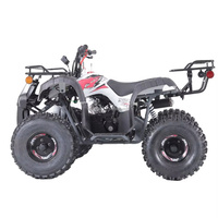Mini quad 4x4 49cc à 2 temps pour enfants, à essence, démarrage électrique automatique, 2 roues motrices, certifié CE, roues de 6 pouces, vitesse maximale de 40 km/h