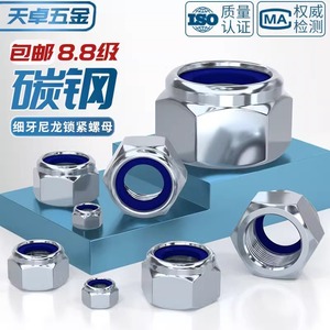 Tianzhuo Hardware Nylon Self Locking Nuts M8 M10 M14 M16 M20 Galvanized Fine Thread Anti Loosening Grade 8.8 - Product Image 5