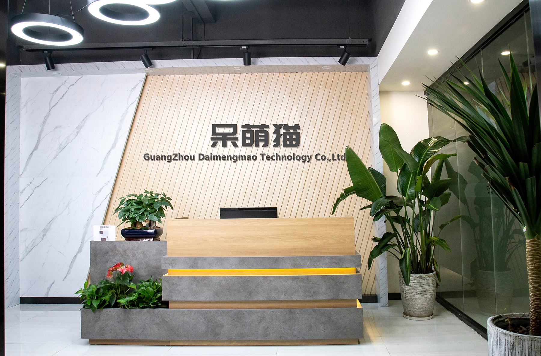 Guangzhou Daimengmao Technology Co., Ltd. logo