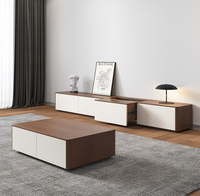 Klassisches Design Minimalistischer Moderner Anpassbarer TV-Schrank mit Aufbewahrungsschublade Einfaches TV-Ständer-Design