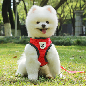 Ensemble de harnais rembourré pour chien HY, impression par sublimation avec logo personnalisé, harnais, laisse et collier pour chien de luxe rose doux, sans traction, accessoires pour animaux de compagnie - Product Image 3