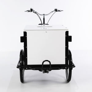Vélo <span class=keywords><strong>cargo</strong></span> Portable de <span class=keywords><strong>petit</strong></span> budget, standard européen sans taxes pour la famille, transport de dernier mile, livraison assistée électrique - Product Image 3