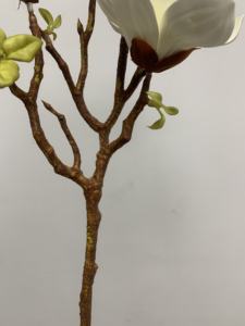 Flores Artificiales de Magnolia de Alta Calidad, Tallos de Magnolia Blancos de <span class=keywords><strong>EVA</strong></span>, Arreglo Floral para Centro de Mesa, Decoración Interior del Hogar - Product Image 6