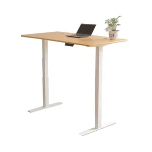 Smart Office Furniture Height Adjustable Desk School Ergonomic Adjustable Lifting Table 2 Motor Type Electric Standing Desk