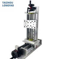 Module linéaire motorisé croisé Xy avec logo personnalisé LYKR100S-200 Course 200mm Rail de guidage linéaire à queue de cygne CNC avec roulement PLC