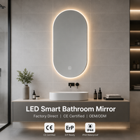 Miroir de salle de bain intelligent LED ovale moderne Joystar OEM avec éclairage rétroéclairé, 35x70cm, dimmable 6000K, écran tactile avec 2 crochets