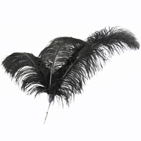 Offre Spéciale – Plumes d'autruche artificielles blanches de grande taille, impression numérique de haute qualité, 60-65 cm, pour la décoration de luminaires