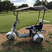 1500W-3000W vitesse maximale 40-70 km/h Citycoco scooter électrique à deux roues pour adultes adultes moto électrique avec télécommande APP