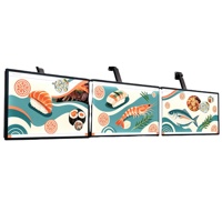 Lumière LED extérieure décorative ultra-mince, résistante aux intempéries, à haute luminosité, écologique, en alliage d'aluminium solaire, 5000 lumens, pleine couleur