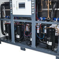 Refroidisseur d'eau RUIHAI RHP-40W 129,06 kW pour le moulage par injection, l'électrodéposition, la transformation alimentaire et le refroidissement laser