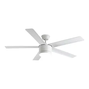 5 Blade Abs White Dc Motor Remote Control Modern Led Ceiling Fan With Light