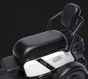 Triciclos eléctricos de deriva motorizados, triciclos eléctricos de tres ruedas para adultos, bicicleta eléctrica de 3 ruedas, triciclo eléctrico de carga abierto - Product Image 6