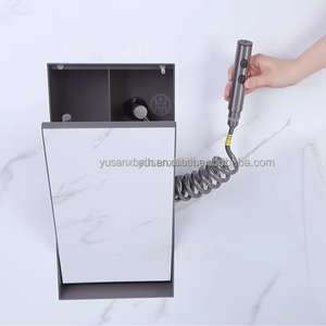 Moderne carrelage en acier inoxydable niche salle de bain toilette accessoires acier caché encastré bidet pulvérisateur toilette brosse chasse d'eau facile - Product Image 6