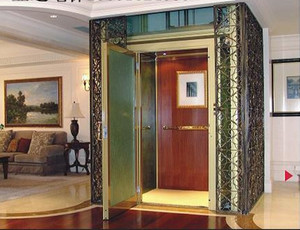 FUJIZY-<span class=keywords><strong>elevador</strong></span> de villa de 400kg, puertas manuales o automáticas, muy conveniente para elevadores de casa - Product Image 2