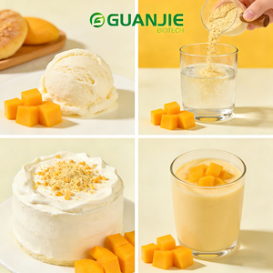 אבקת מנגו מיובשת בהקפאה בסיטונאות, מחיר מפעל, אבקת מנגו לתוספים תזונתיים - Product Image 4