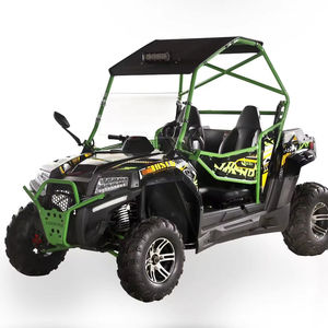 Fangpower FX250 DICTATOR 250CC <span class=keywords><strong>Quad</strong></span> <span class=keywords><strong>homologué</strong></span> pour la route, buggy tout-terrain <span class=keywords><strong>homologué</strong></span> pour la route, véhicule tout-terrain, side-by-side pour enfants - Product Image 1