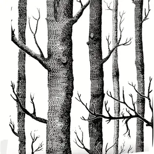 Birch Tree Peel and Stick Wallpaper for Bedroom Papel pintado pelado de abedul - Self Adhesive Black and White Vinyl Film for Wa