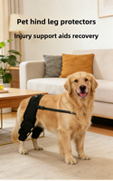 Manchons de soutien articulaire premium pour chiens atteints d'arthrite, aides à la mobilité pour chiens seniors, attelles pour pattes arrière, achat en gros pour les magasins spécialisés en animaux de compagnie