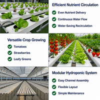 Système de canaux NFT multi-niveaux en PVC de qualité industrielle pour système hydroponique vertical de légumes-feuilles en serre
