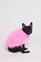 INS – pull de luxe pour chien, Style Dowager, pour animaux de compagnie, automne et hiver, chaud, fourrure pour chien, dame, luxe, chat, chien