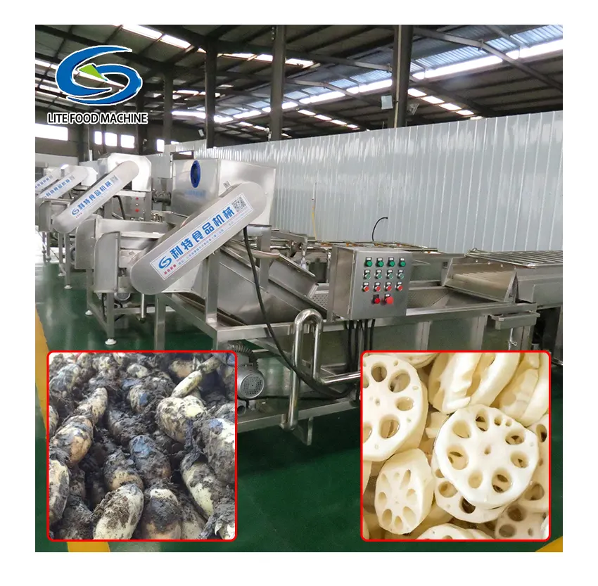 Fruit Cleaning Machine Lettuce Celery Cabbage Spinach Parsley Olive Leaf Vegetable and Fruit Washing Line