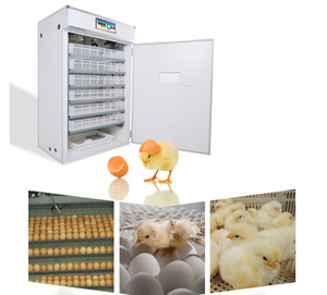 Máy Ấp Trứng Hoàn Toàn Tự Động Máy Ấp Trứng Công Suất 1000 Trứng Năng Lượng Mặt Trời Máy Ấp Trứng Gà Mái Công Nghiệp - Product Image 5