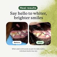 Polvo Dental para Perros OEM/ODM, Limpieza Dental Fácil, Elimina el Sarro y el Mal Aliento, Refrescante Natural para el Aliento de los Perros